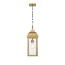 Artcraft AC8185WB - Outdoor Pendant
