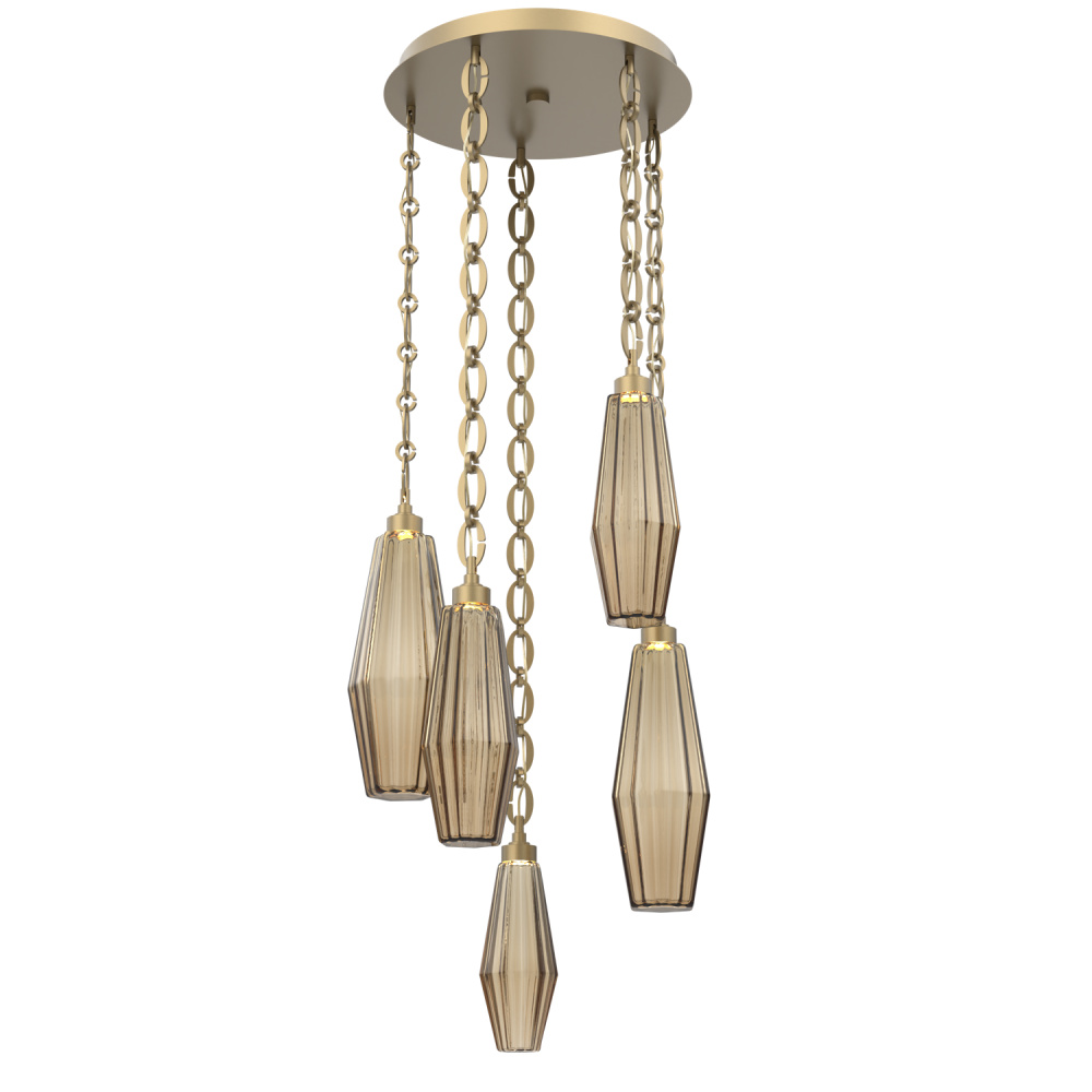Aalto Round 5pc Multi-Pendant with Chain