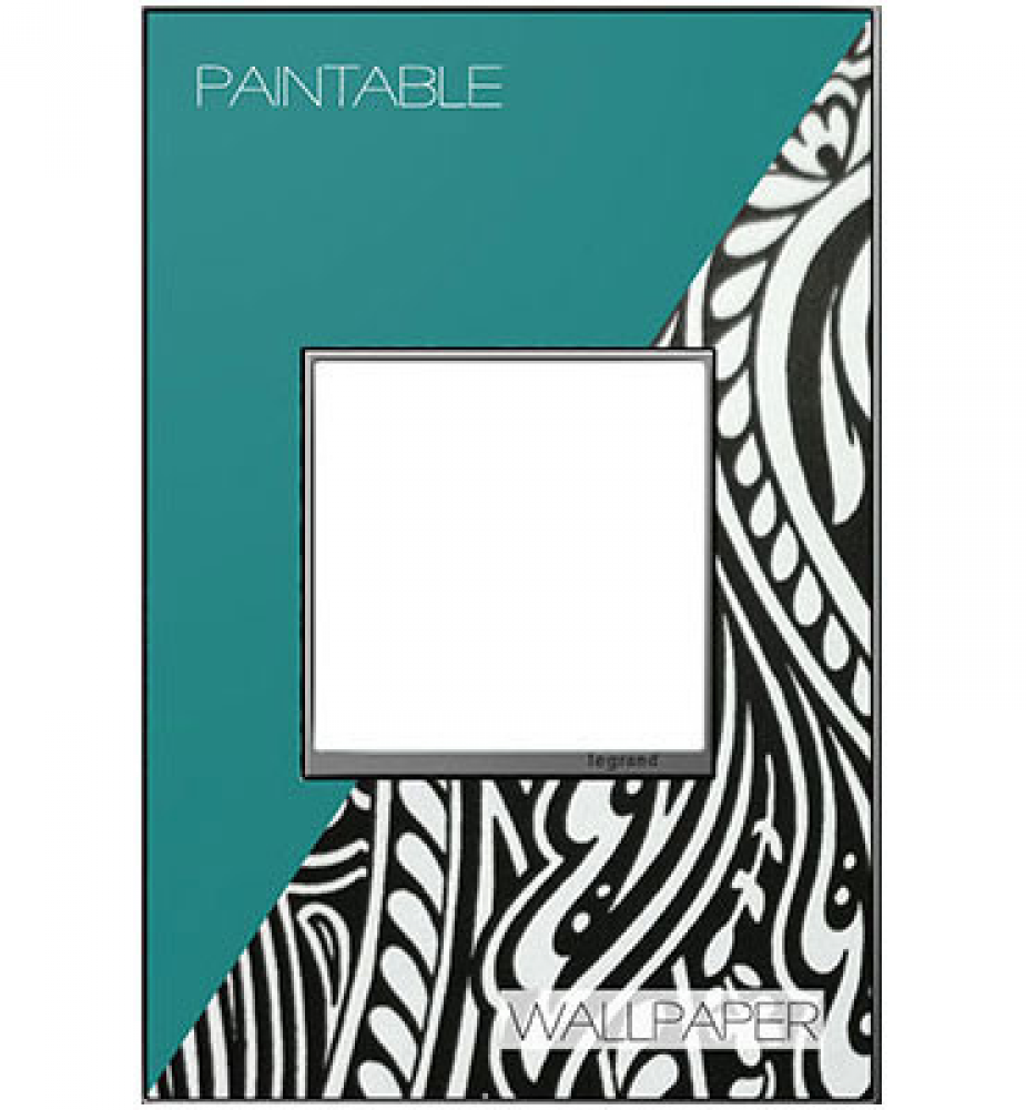 adorne Custom One-Gang Screwless Wall Plate, Magnesium Trim