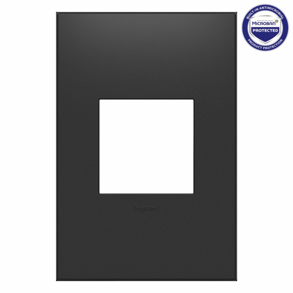 adorne Graphite One-Gang Screwless Wall Plate with Microban