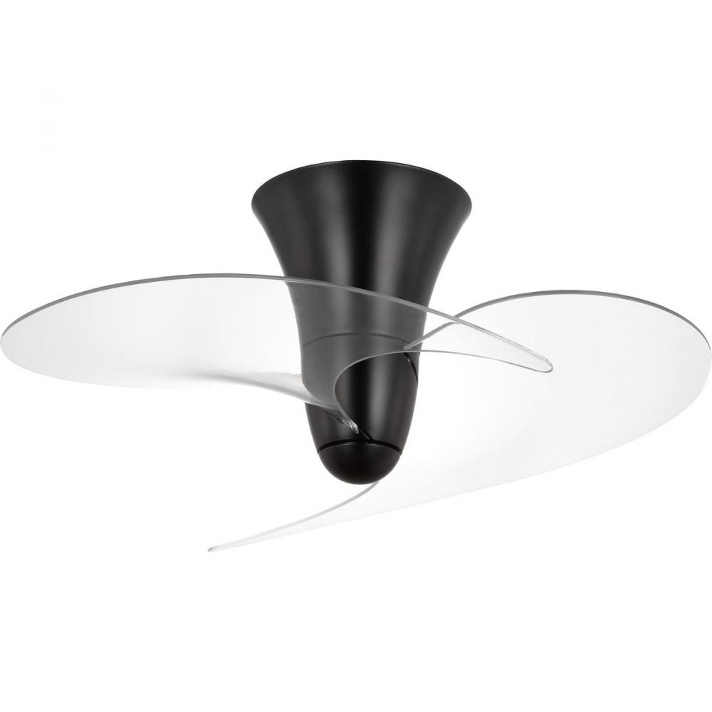 P250119-31M 36IN CEILING FAN