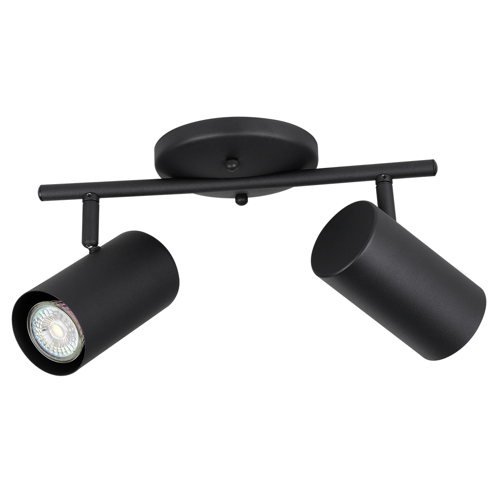 2L Track Light
