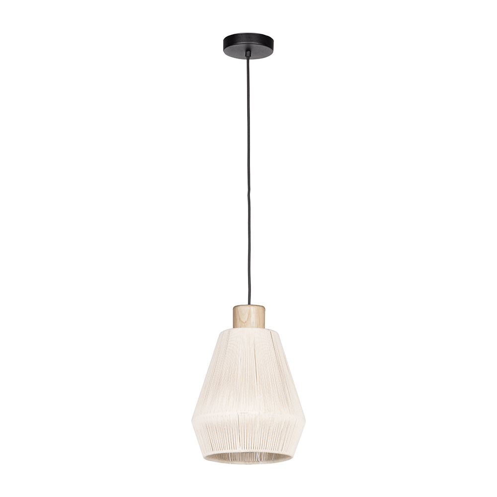 1L Pendant Light