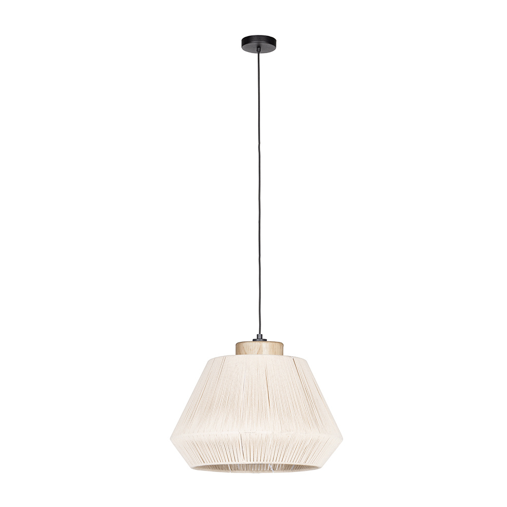 1L Pendant Light