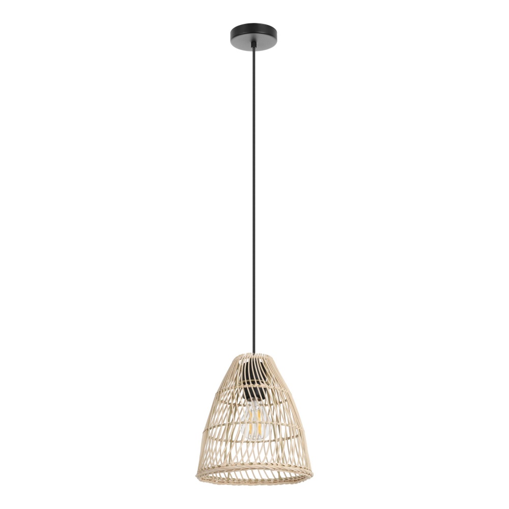 1L Pendant Light