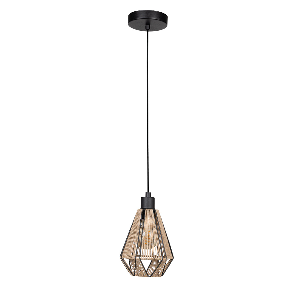 1L Pendant Light