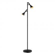 Eglo 97806A - 2L Floor Lamp