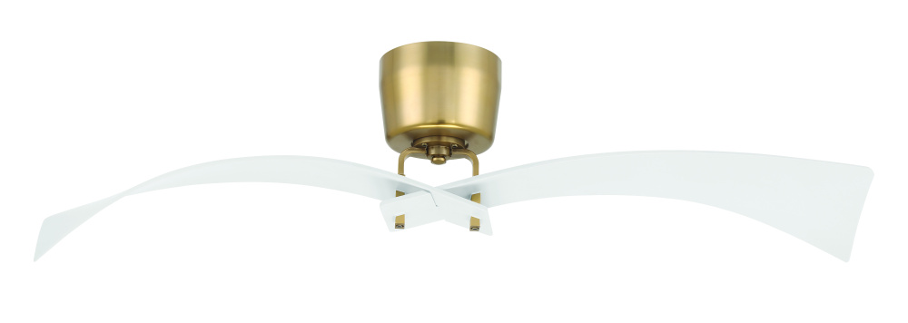 Tern 52&#34; 2-Blade Ceiling Fan in White/Satin Brass w/ White Blades; Not Light Kit Adaptable