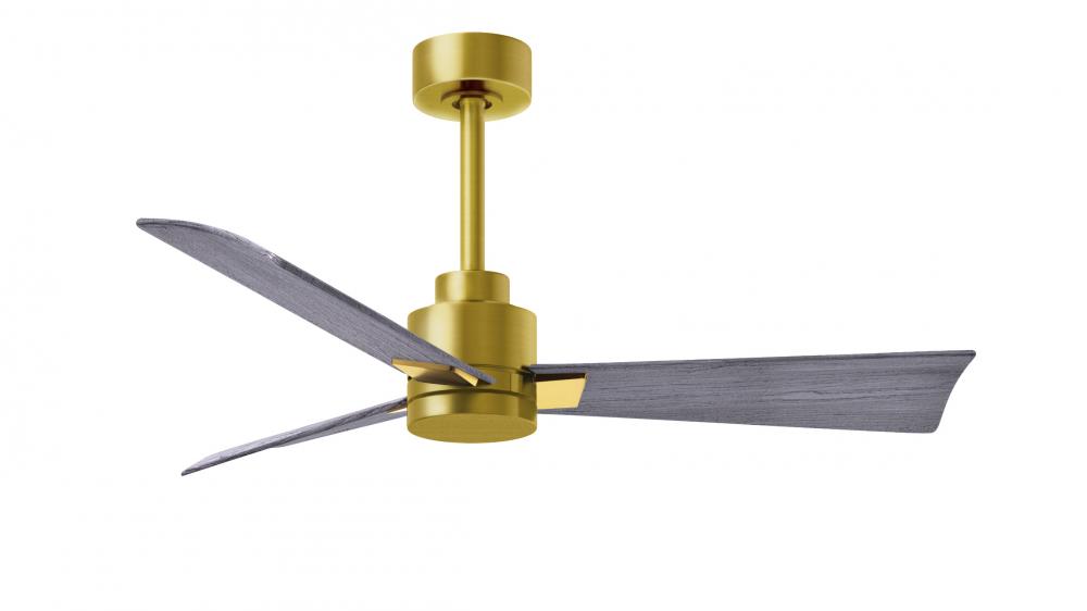 Alessandra - 42&#34; Three Blade Transitional Ceiling Fan - Brushed Brass Finish