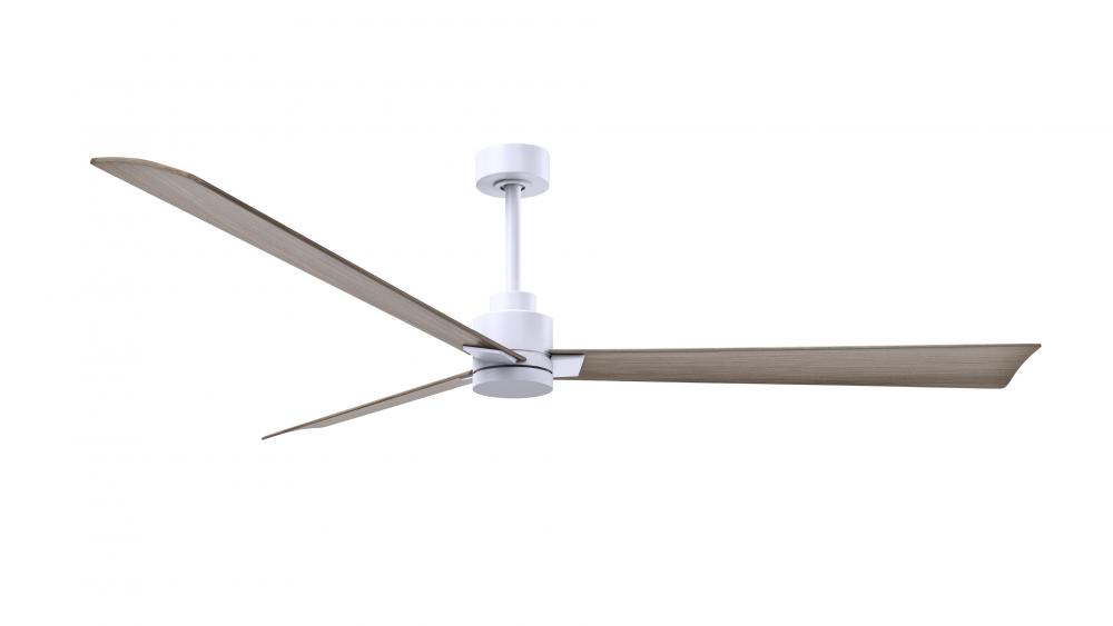 Alessandra - 72&#34; Three Blade Transitional Ceiling Fan - Matte White Finish - Gray Ash Tone Blade