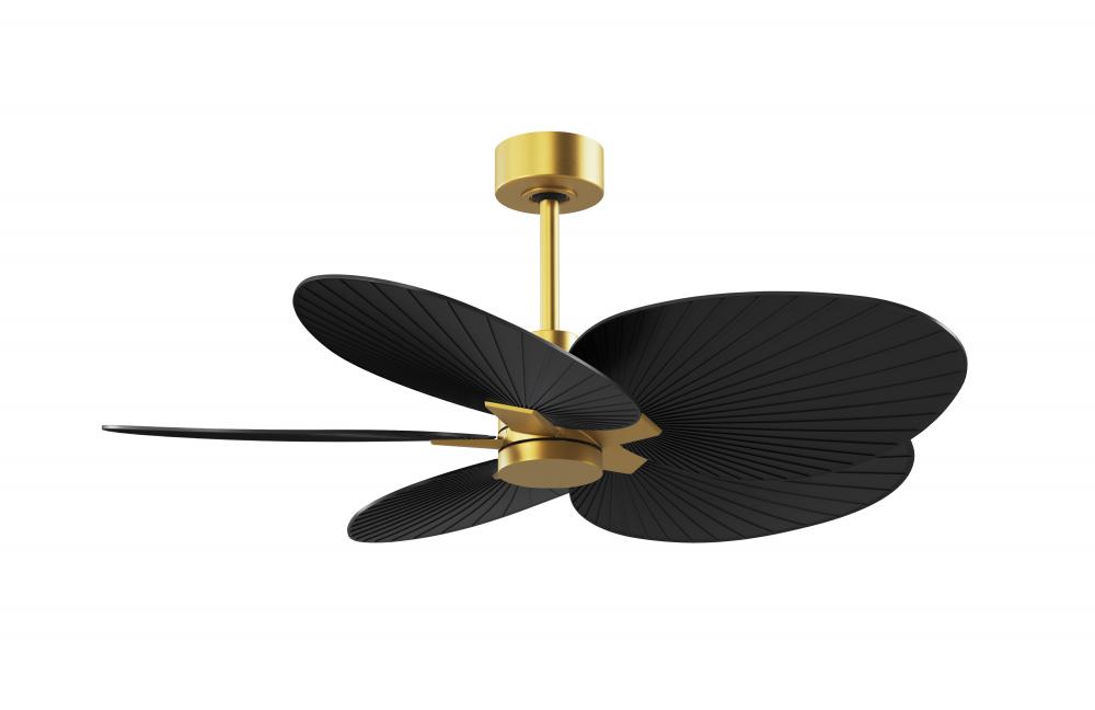 Alessandra Tropical - Five Blade Ceiling Fan - Brushed Brass Finish - Matte Black Blades