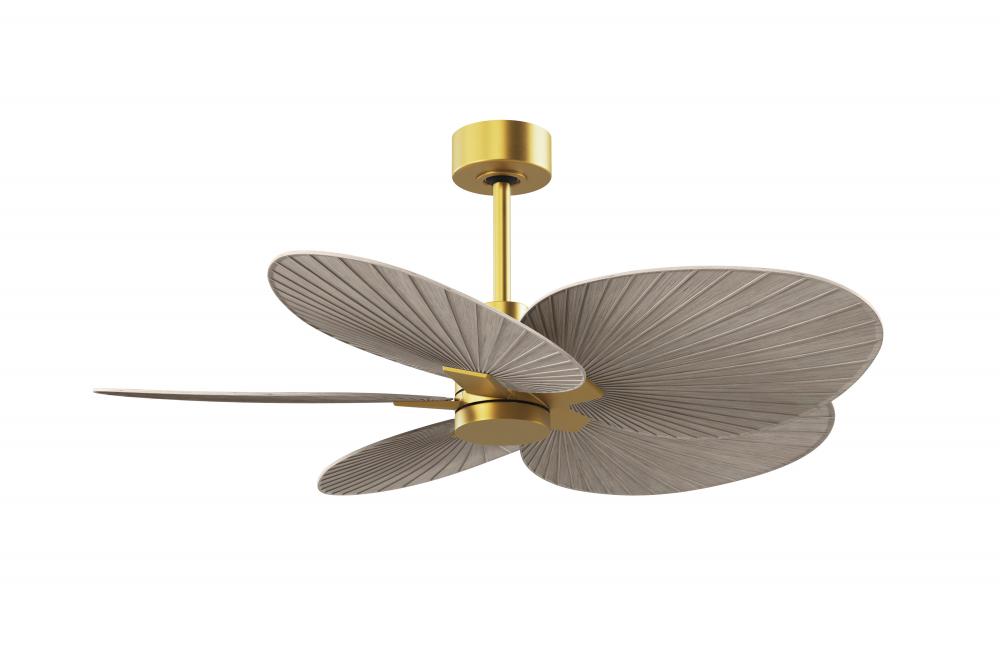 Alessandra Tropical - Five Blade Ceiling Fan - Brushed Brass Finish - Gray Ash Tone Blades