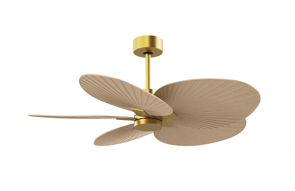 Alessandra Tropical - Five Blade Ceiling Fan - Brushed Brass Finish - Light Maple Tone Blades