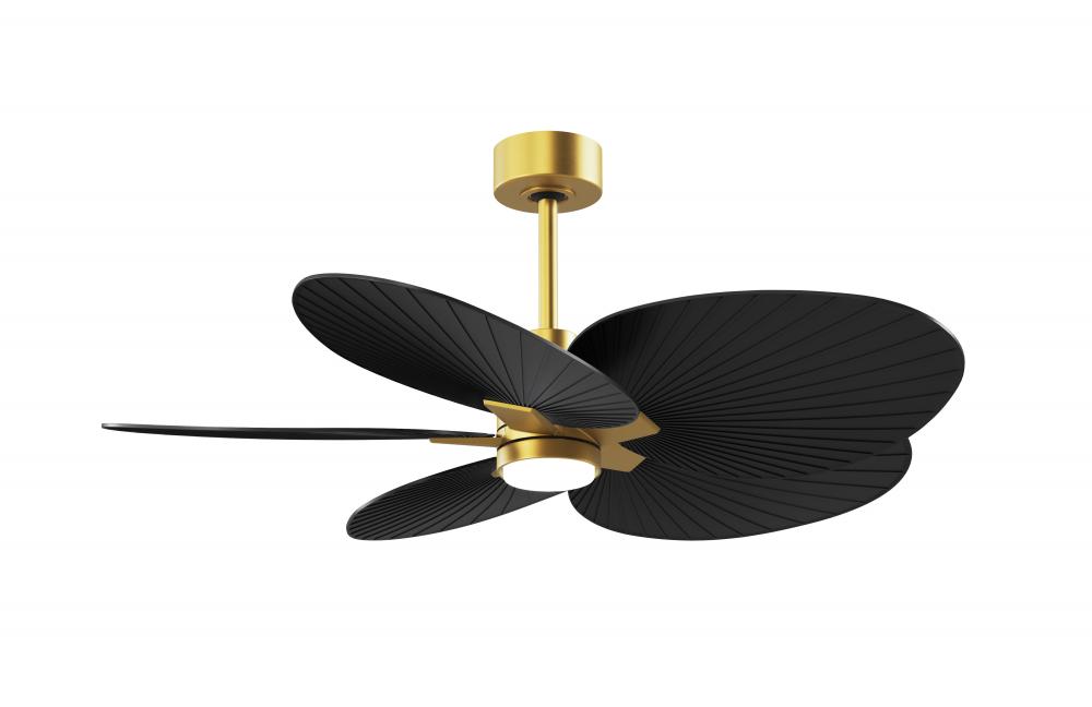 Alessandra Tropical - Five Blade Ceiling Fan - 5CCT Integrated LED - Brushed Brass Finish