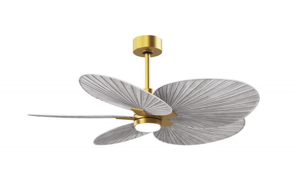 Alessandra Tropical - Five Blade Ceiling Fan - 5CCT Integrated LED - Brushed Brass Finish