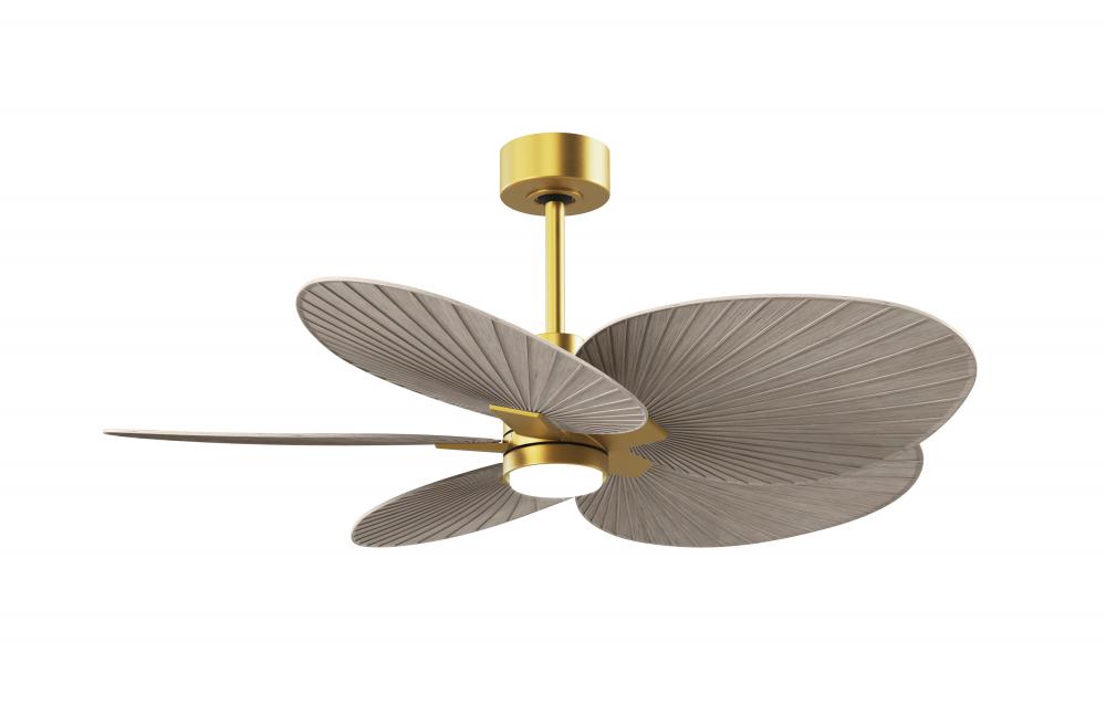 Alessandra Tropical - Five Blade Ceiling Fan - 5CCT Integrated LED - Brushed Brass Finish