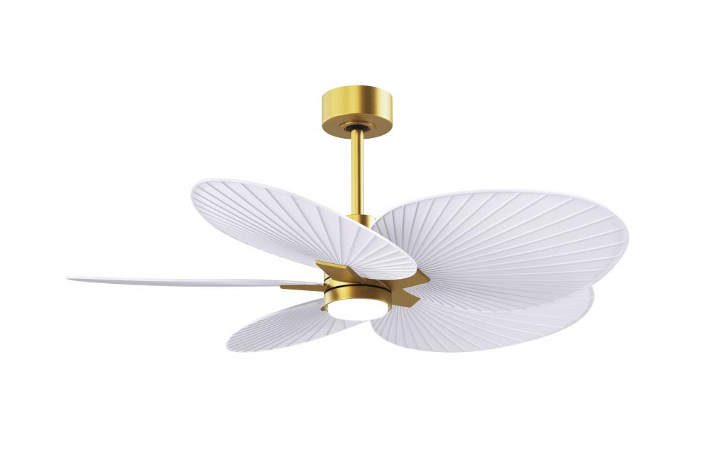 Alessandra Tropical - Five Blade Ceiling Fan - 5CCT Integrated LED - Brushed Brass Finish