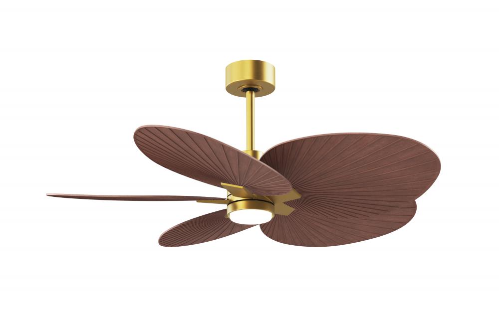 Alessandra Tropical - Five Blade Ceiling Fan - 5CCT Integrated LED - Brushed Brass Finish