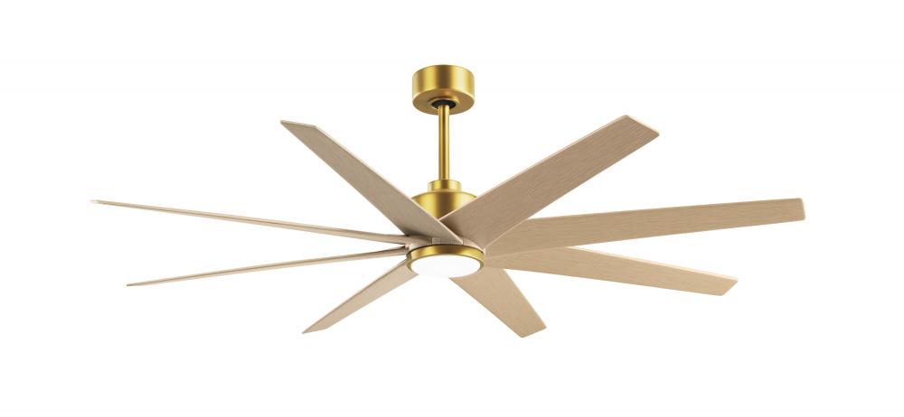 Ariella - Eight Blade Ceiling Fan - 5CCT Integrated LED - Brushed Brass Finish