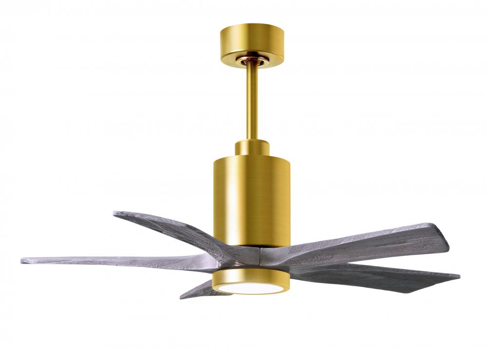 Patricia-5 - 42&#34; Five Blade Ceiling Fan - 5CCT Integrated LED - Brushed Brass Finish