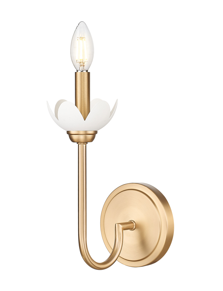 1 Light Wall Sconce