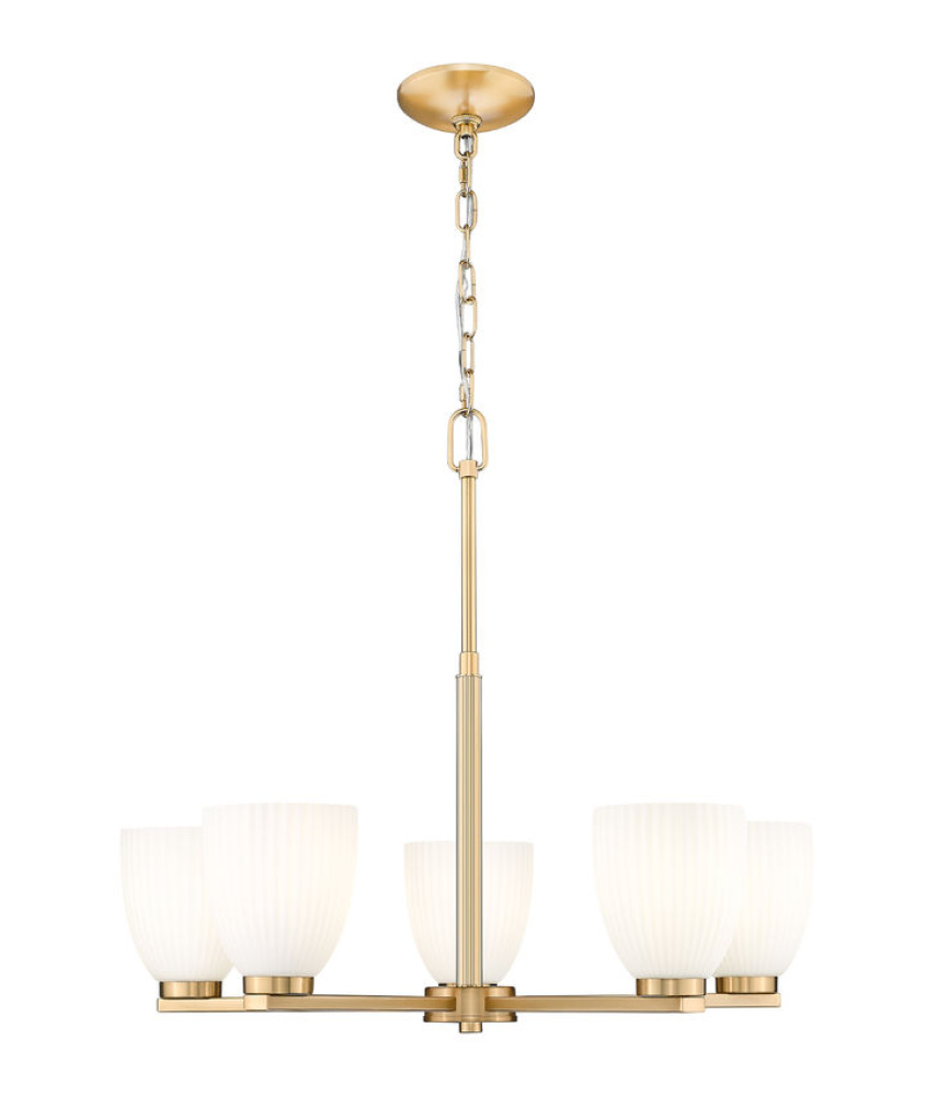 5 Light Chandelier