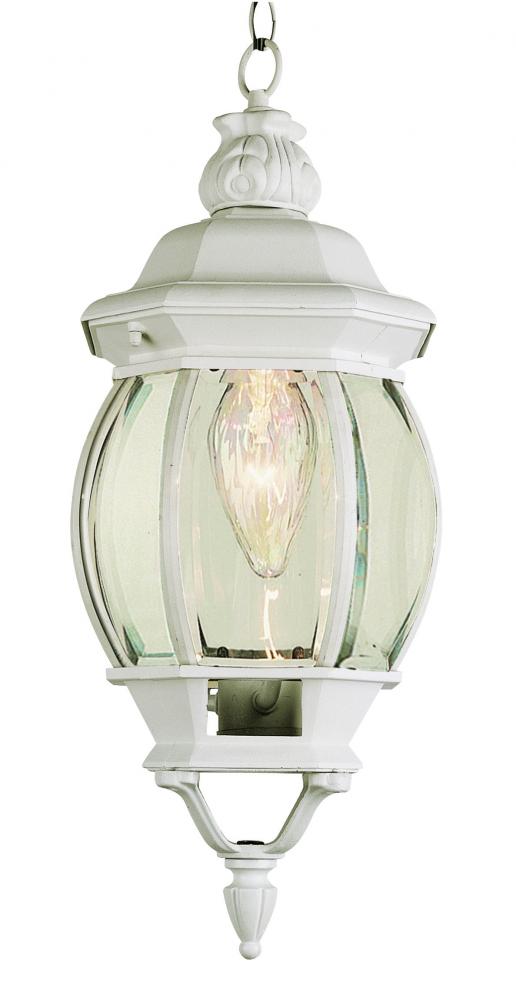 1LT SMALL HANGING LANTERN-OUTD