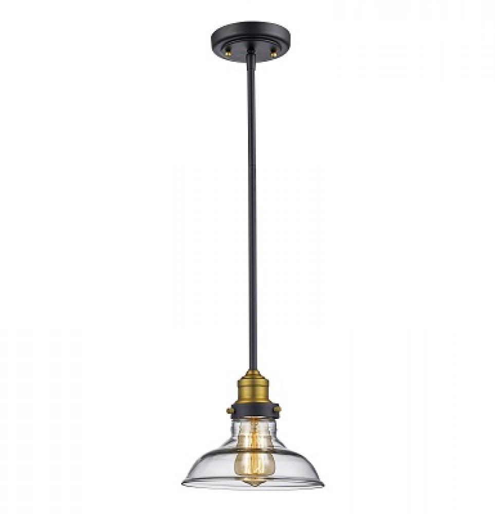 1LT PENDANT SML-INDUSTRIAL-ROB