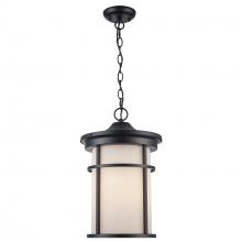 Trans Globe 40386 BK-FR - 1LT HANGING LANTERN-LG-CRACKLE