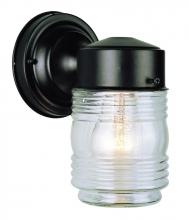 Trans Globe 4900 BK - 1LT WALL-OUTD- JELLY JAR