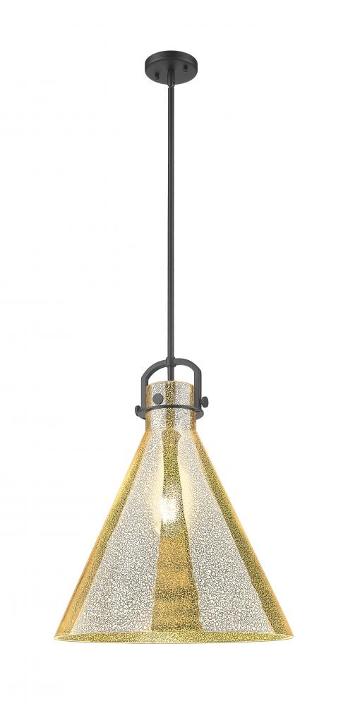 Newton Cone - 1 Light - 18 inch - Matte Black - Pendant
