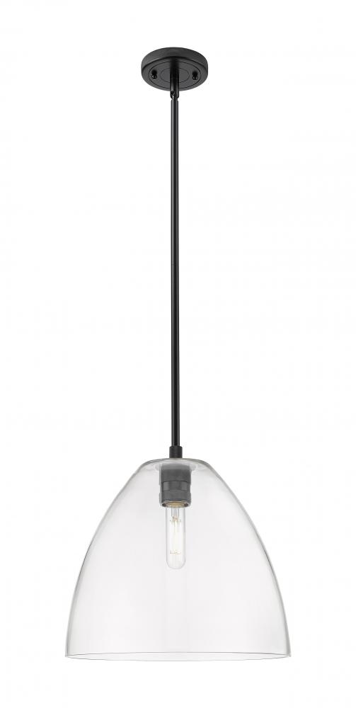 Crown Point - 1 Light - 12 inch - Matte Black - Pendant