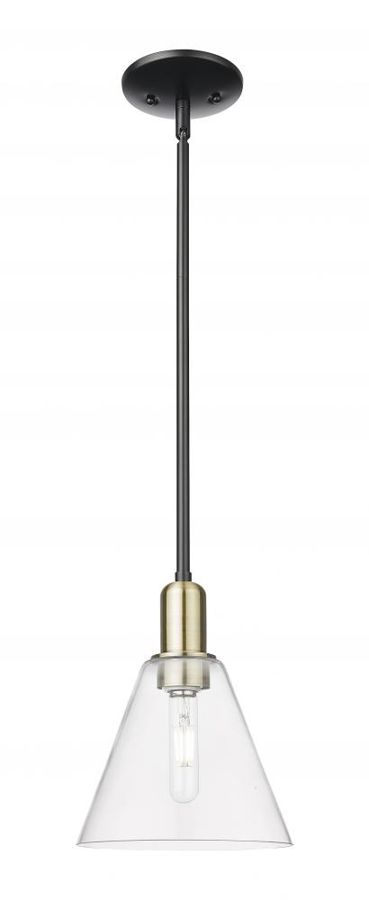 Berkshire Glass - 1 Light - 8 inch - Black Antique Brass - Stem hung - Mini Pendant