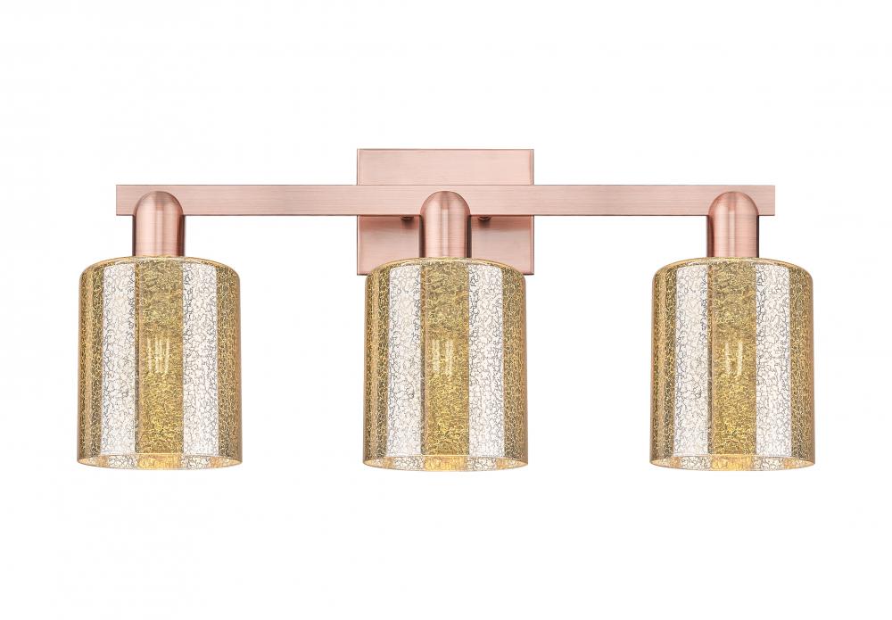 Cobbleskill - 3 Light - 24 inch - Antique Copper - Bath Vanity Light