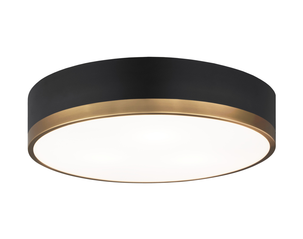 Trydor Ceiling Mount