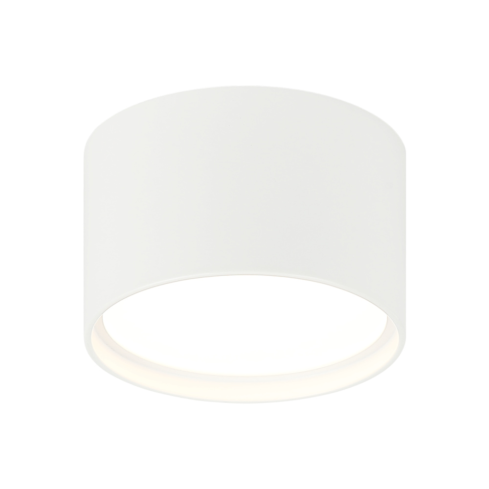 Caravon White Ceiling Mount