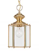 Generation Lighting 6008-02 - Classico One Light Outdoor Semi-Flush Convertible Pendant