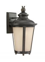 Generation Lighting 88241EN3-780 - Cape May Medium One Light Outdoor Wall Lantern