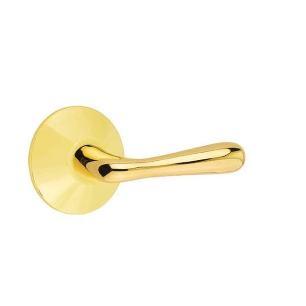 Privacy, Modern Rosette, Basel Lever, RH, US3NL