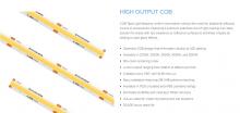 American Lighting HTL65-COB-UWW-16 - high output IP65 COB 2700k