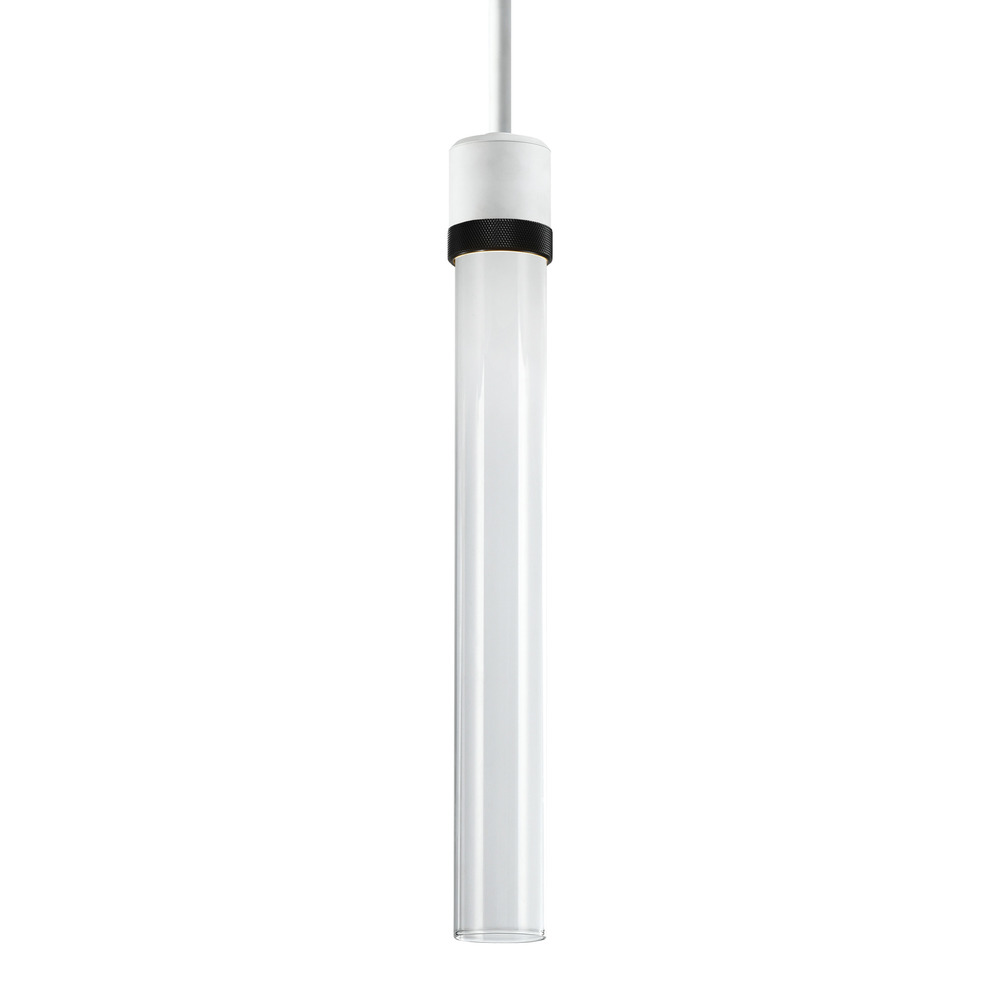 Zigrina 18&#34; Clear Glass LED Pendant in White and Black Knurled Ring