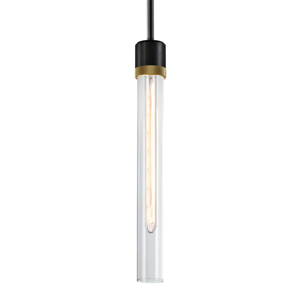 Zigrina 18&#34; Clear Glass E26 Pendant in Black with Knurled Ring in Brass