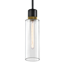 ZEEV Lighting P11708-E26-SBB-K-AGB-G15 - Zigrina 18" Glass Drum E26 Pendant in Black with Knurled Ring in Brass
