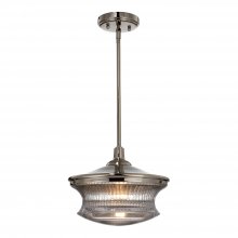 ZEEV Lighting P30045-1-BN - Magister 12" Retro Glass Pendant in Brushed Nickel