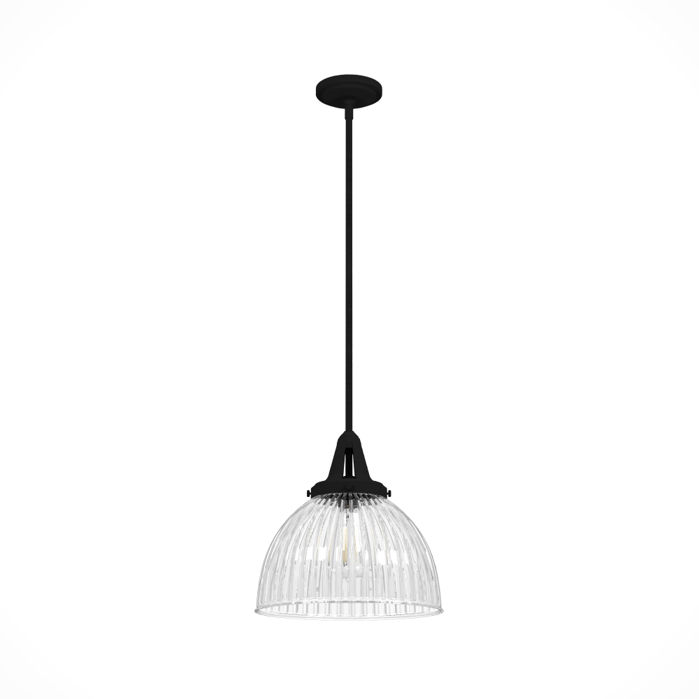 Hunter Cypress Grove Natural Black Iron with Clear Holophane Glass 1 Lt Pendant Ceiling Lt Fixture