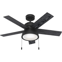 Hunter 51139 - Hunter 44 inch Lilliput Matte Black Ceiling Fan with LED Light Kit and Pull Chain