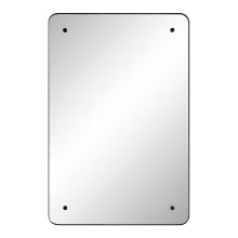 Renwil MT2613 - Aine 36" Tall Rectangular Mirror, Matte Black