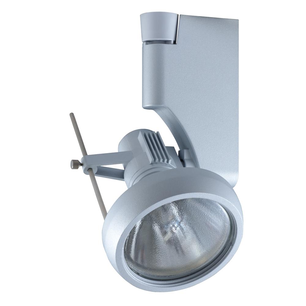 Single-Light Metal Halide Track Head