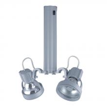 Jesco HMH913T4NF39-S - Two-Light Metal Halide Track Head