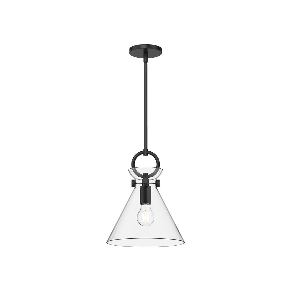 Emerson 11-in Matte Black/Clear Glass 1 Light Pendant